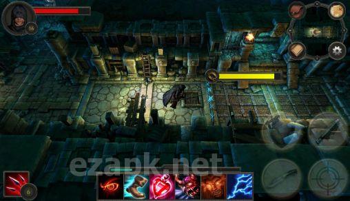 Rogue: Beyond the shadows
