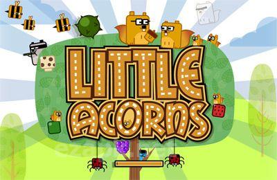 Little Acorns