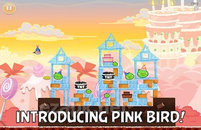 Angry Birds HD: Birdday Party