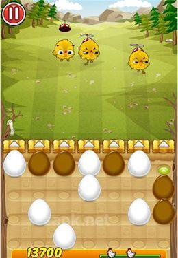 Egg vs. Chicken