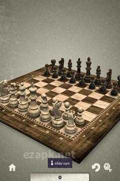 iChess 3D