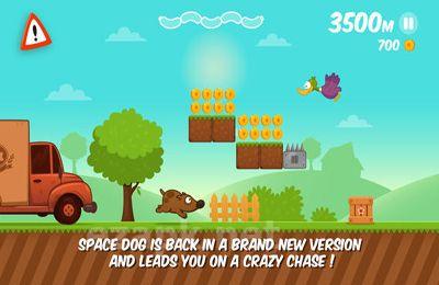 Space Dog Run