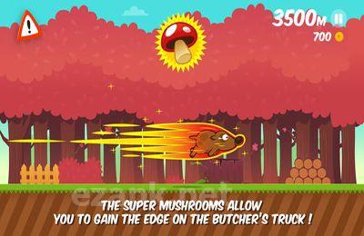 Space Dog Run