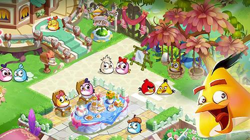 Angry birds blast island