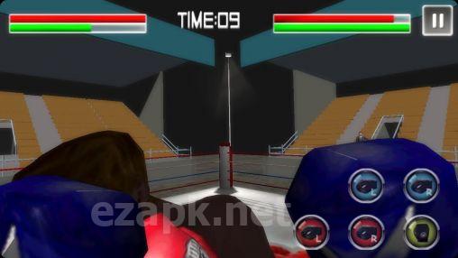 Boxing mania 2