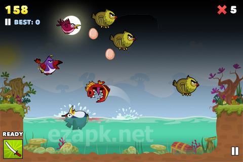 Fish fury