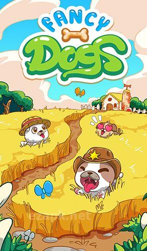 Fancy dogs: Puzzle and puppies