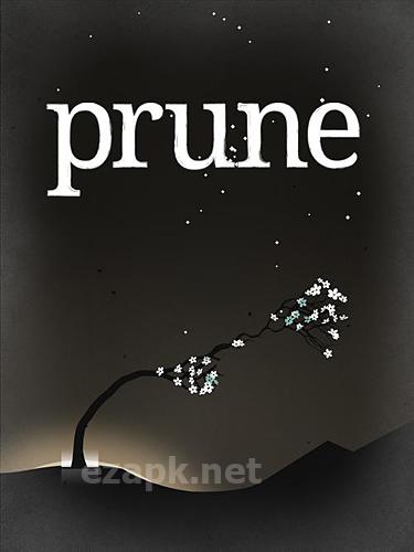 Prune