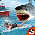 Shark shark run