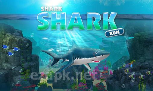 Shark shark run