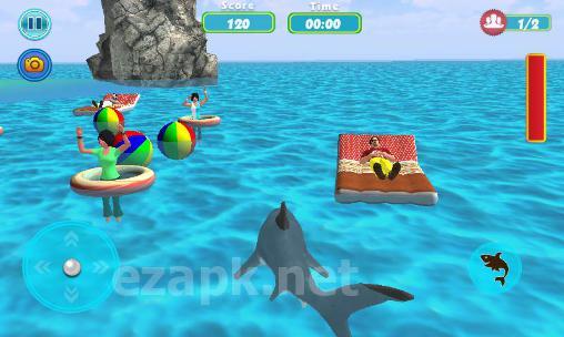 Shark shark run