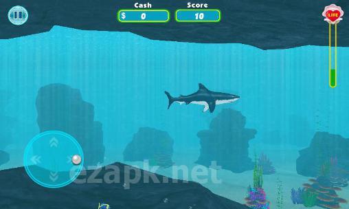 Shark shark run