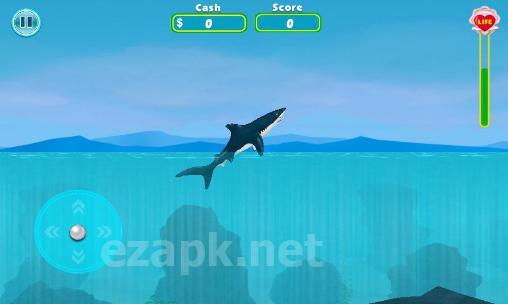 Shark shark run