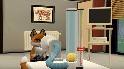 Pet world: My animal hospital. Care for animals