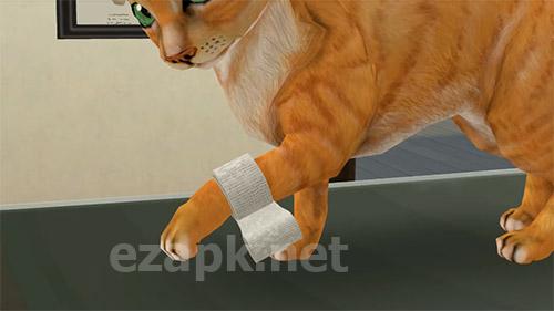 Pet world: My animal hospital. Care for animals