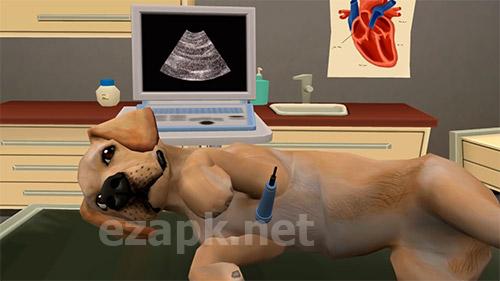 Pet world: My animal hospital. Care for animals