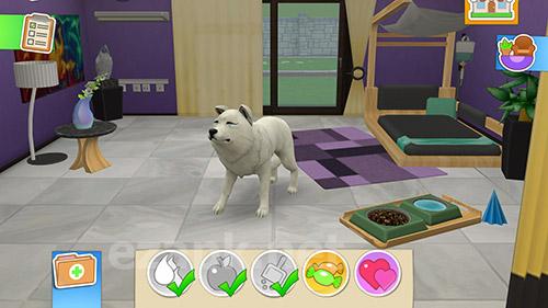 Pet world: My animal hospital. Care for animals