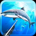Spearfishing 3D