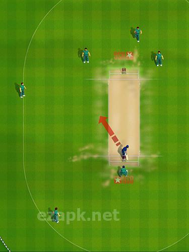 New star cricket