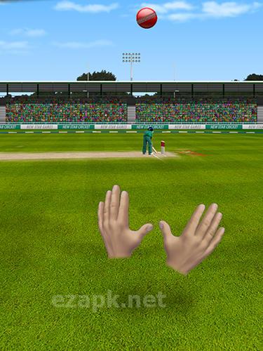 New star cricket