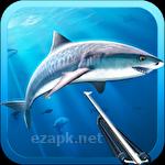 Hunter underwater spearfishing