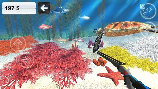 Hunter underwater spearfishing