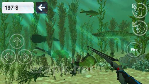 Hunter underwater spearfishing