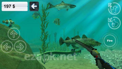 Hunter underwater spearfishing