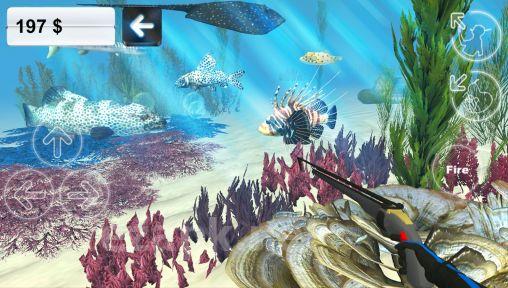 Hunter underwater spearfishing