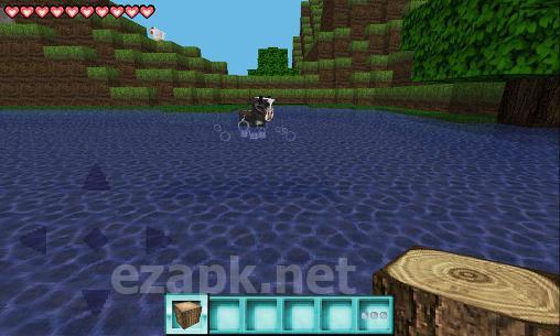 Fancy craft 2