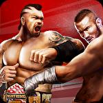 Champion fight 3D