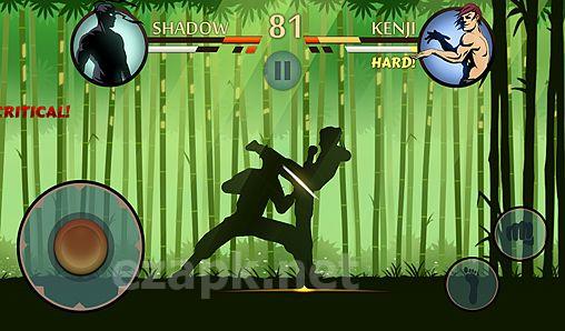 Shadow fight 2