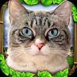 Stray cat simulator