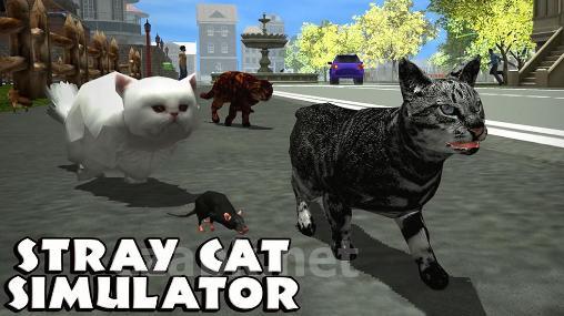 Stray cat simulator