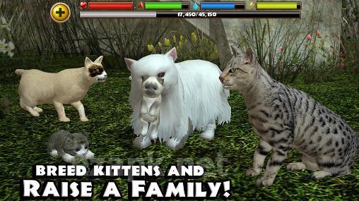 Stray cat simulator