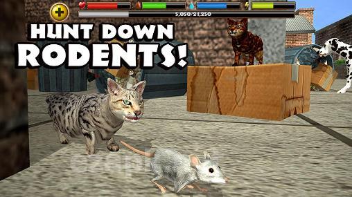Stray cat simulator