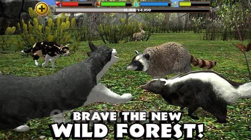 Stray cat simulator