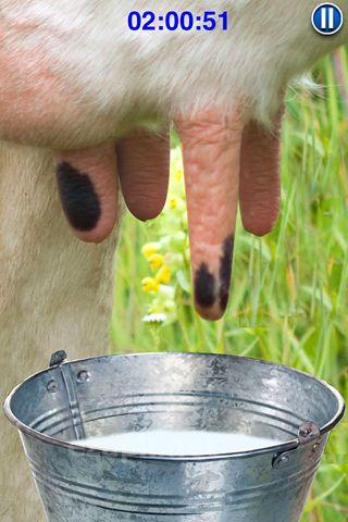 Milk  the cow pro