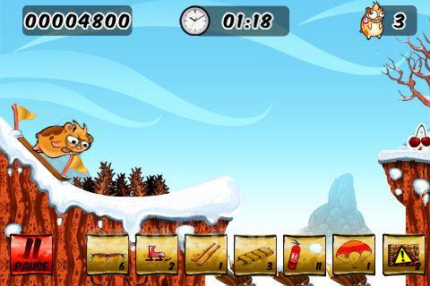Crazy hamster