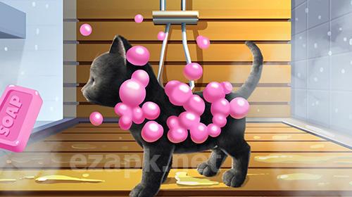 Daily kitten: Virtual cat pet