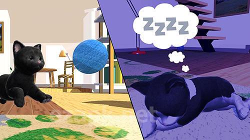 Daily kitten: Virtual cat pet