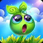 Sky garden: Paradise flowers