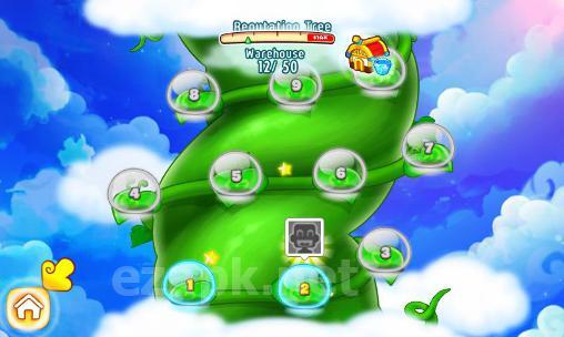 Sky garden: Paradise flowers