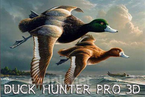 Duck hunter pro 3D