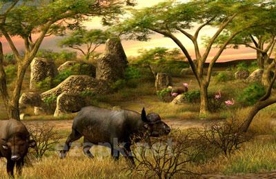 Big Buck Safari