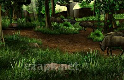 Big Buck Safari
