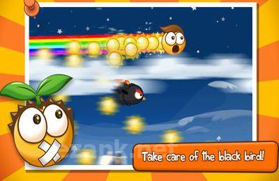 Bouncy Seed!