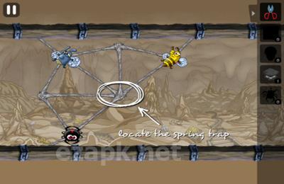 Greedy Spiders 2