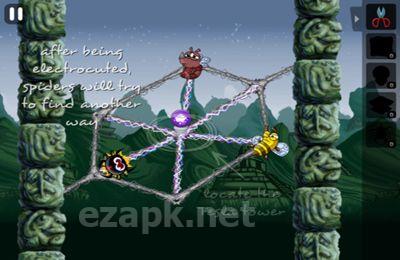 Greedy Spiders 2