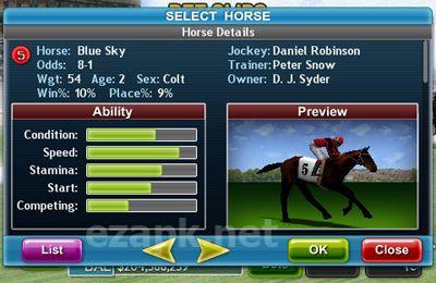 Virtual Horse Racing 3D